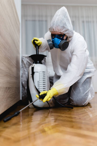 Best Bed Bug Extermination  in Clearlake Riviera, CA